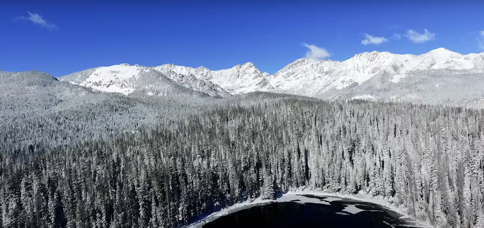 10 Christmas-themed YouTube backgrounds to help create a festive atmosphere Picture 10