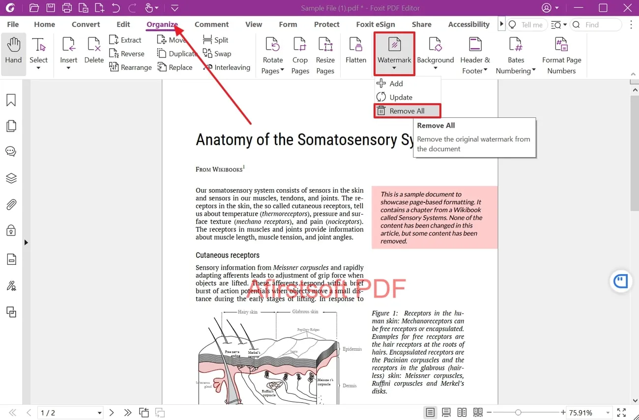 Picture 15 of 10+ Easy Ways to Remove Logos from PDF Files