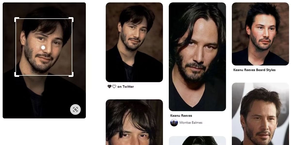 10 extremely attractive search and facial recognition tools Picture 13