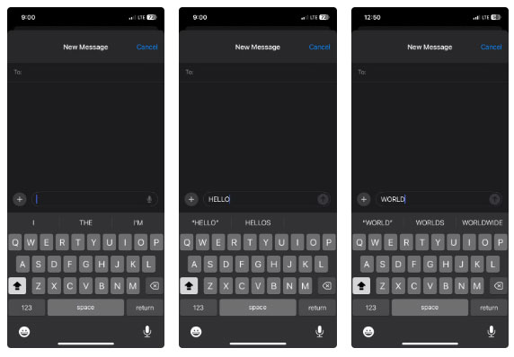 10 Hidden iPhone Tricks to Help You Type Faster Picture 2