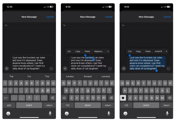 10 Hidden iPhone Tricks to Help You Type Faster Picture 7