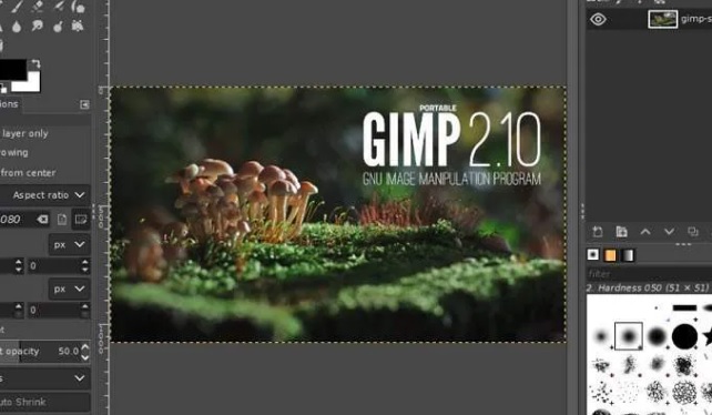 10 popular software new Ubuntu users must know Picture 5