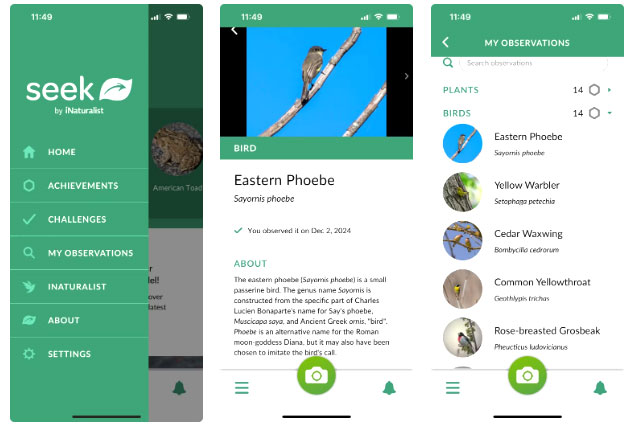 10 things smartphone cameras can do, besides taking pictures Picture 4