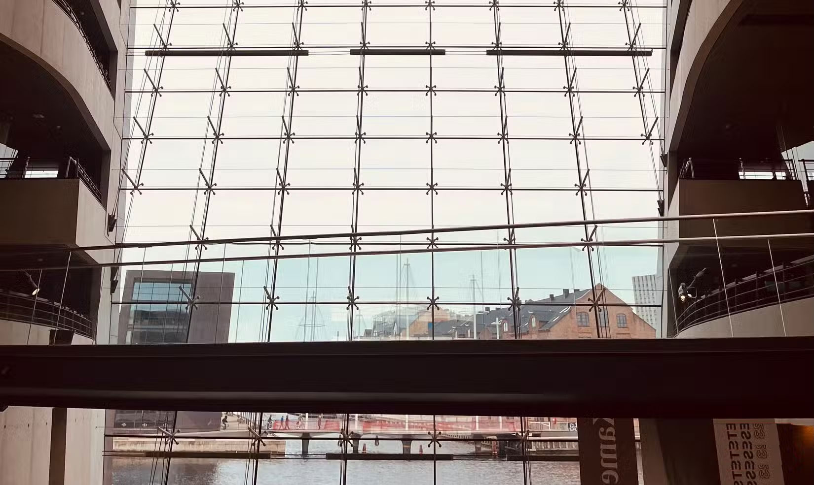 11 Tips Worth Sharing When Taking Photos with Your Phone Picture 1