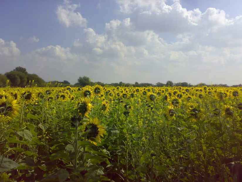 Picture 10 of 17 websites to find high-quality, royalty-free images.