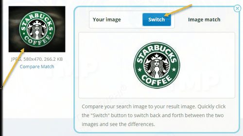 Picture 10 of 2 best online reverse image search tools