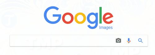 Picture 2 of 2 best online reverse image search tools