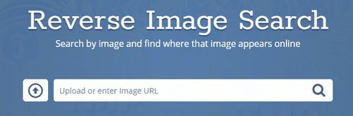 Picture 8 of 2 best online reverse image search tools