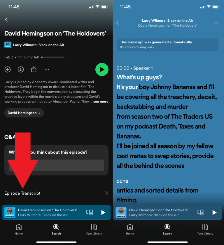 22 Tips to Improve Your Listening and Streaming Like a Pro on Spotify Picture 15