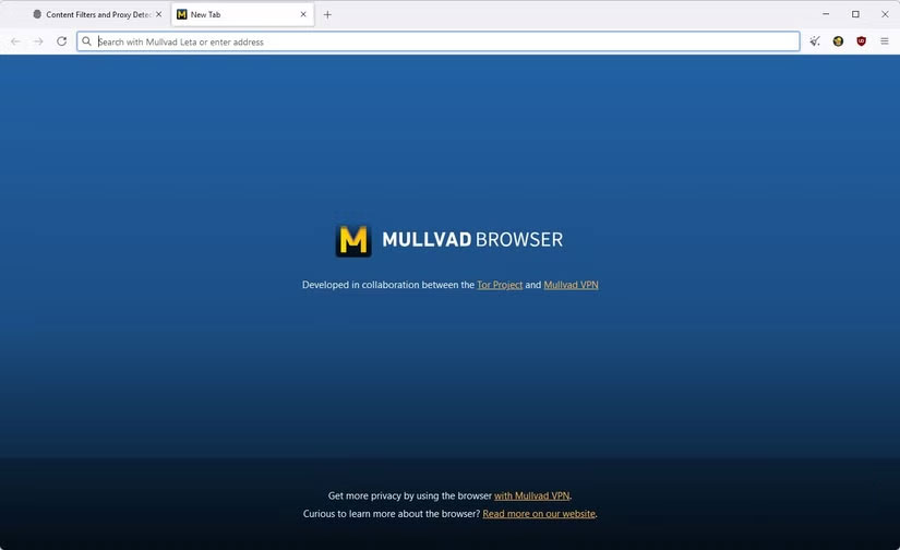 3 browsers that respect user privacy more than Chrome Picture 1