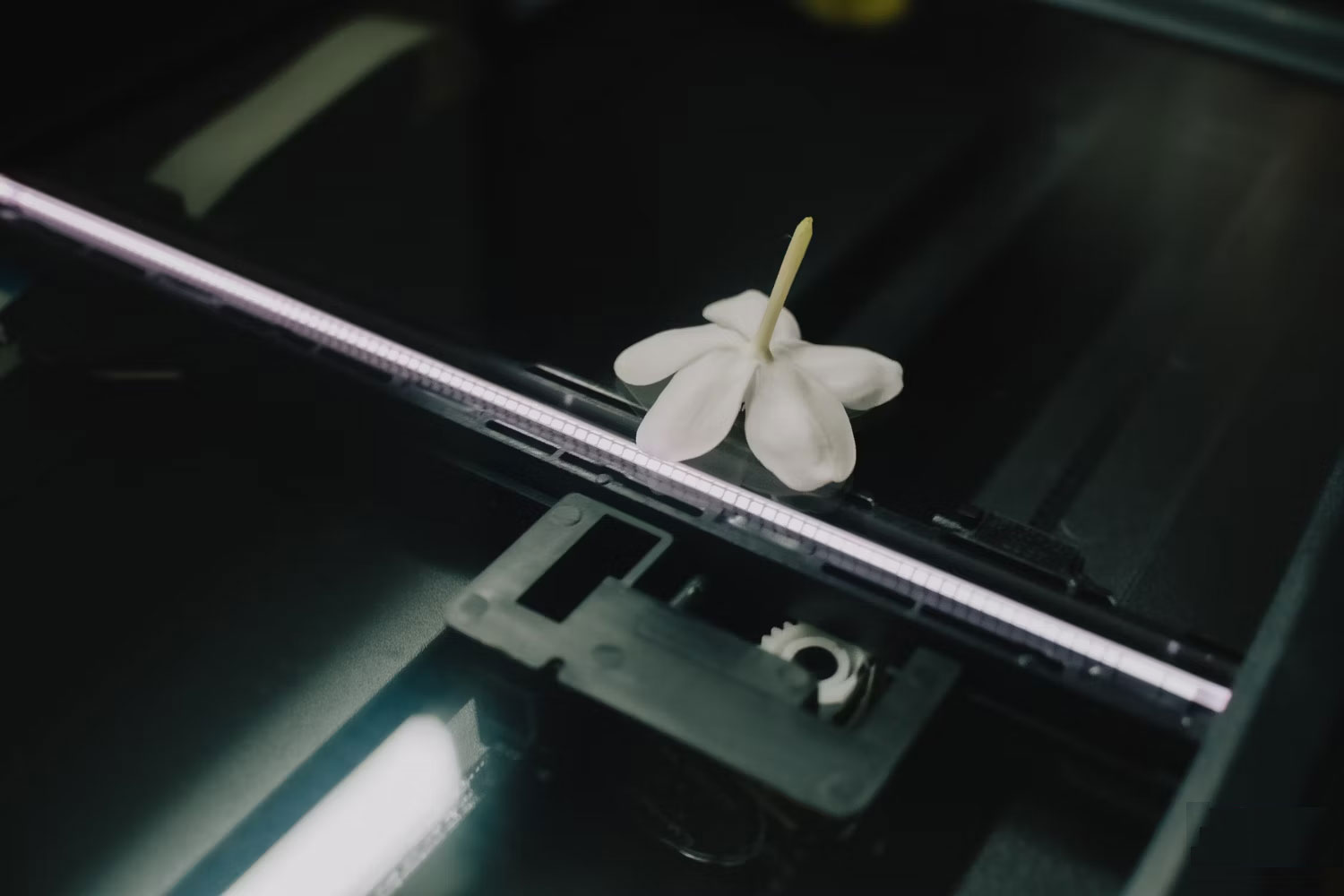 4 creative ways to use a scanning printer Picture 2