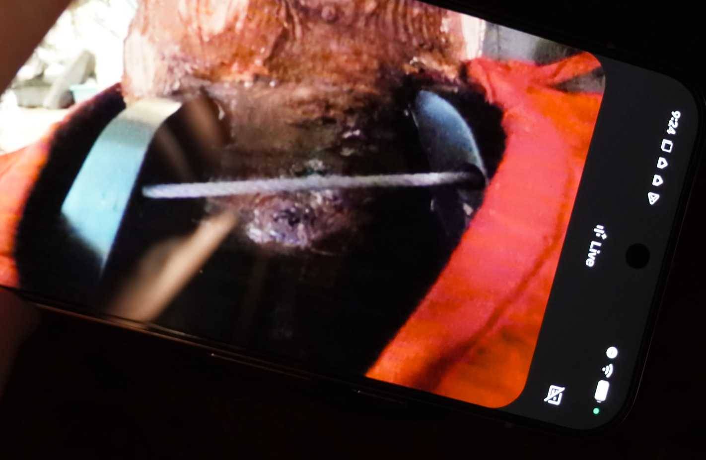 4 practical ways to use Gemini's Camera mode around the house. Picture 7