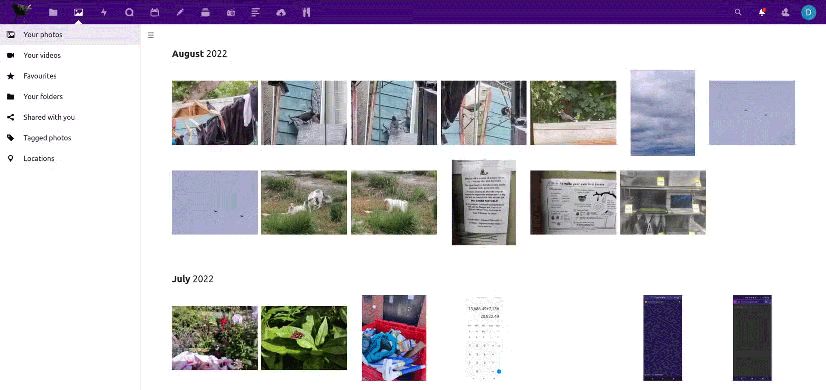 4 Privacy-Focused Google Photos Alternatives Picture 4