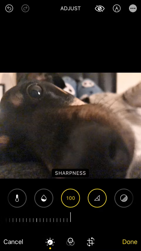 4 ways to make blurry photos sharp Picture 8