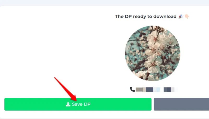 4 Ways to Save Anyone's Profile Picture on WhatsApp Picture 3