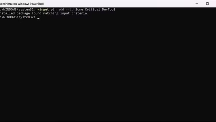 4 Winget Tips That Will Change the Way You Use Windows 11 Picture 10