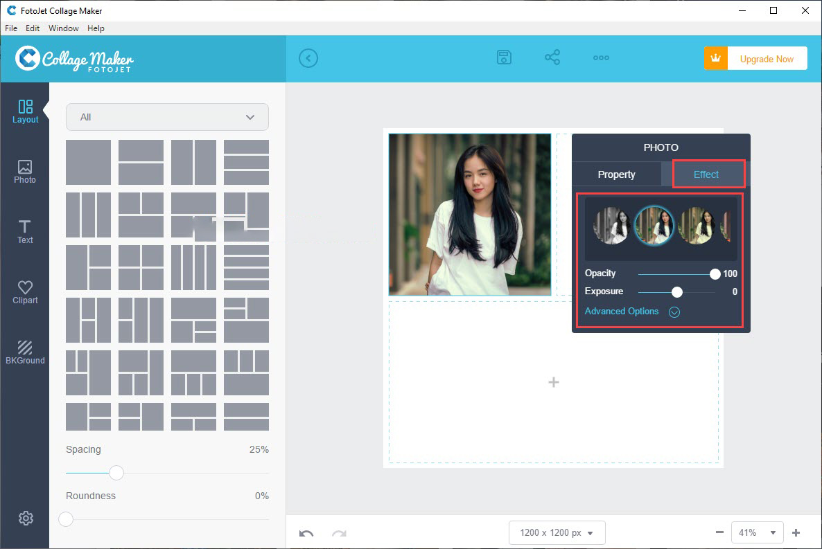 5 Best Photo Collage Software on Computers and Phones 2024 Picture 2
