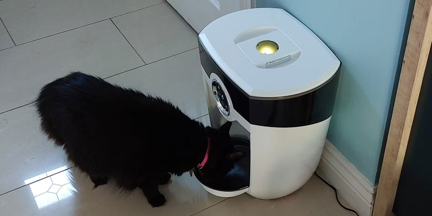 5 Favorite Smart Home Devices for Pets Picture 3