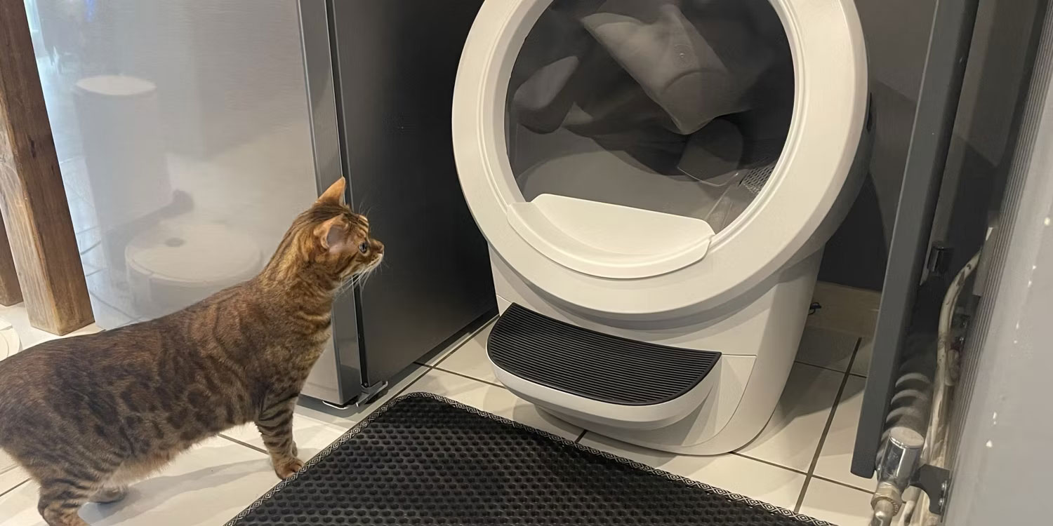 5 Favorite Smart Home Devices for Pets Picture 5