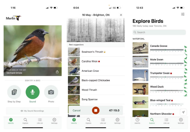 5 Free Apps to Improve Your Nature Photos Picture 2