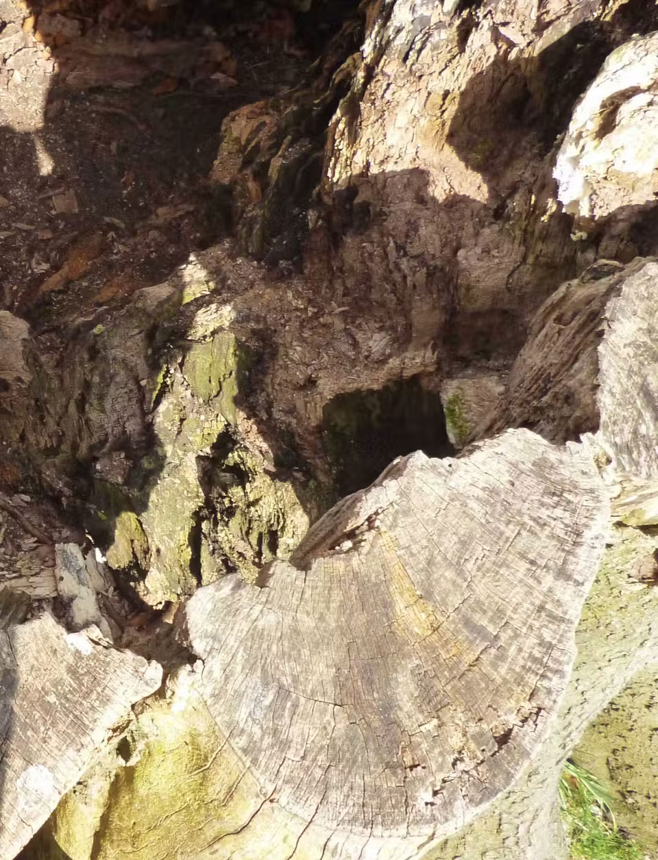 5 genres of smartphone photography that outperform DSLR cameras Picture 10