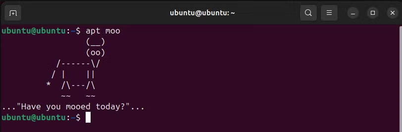 5 interesting Ubuntu Terminal tips that many people don't know. Picture 2