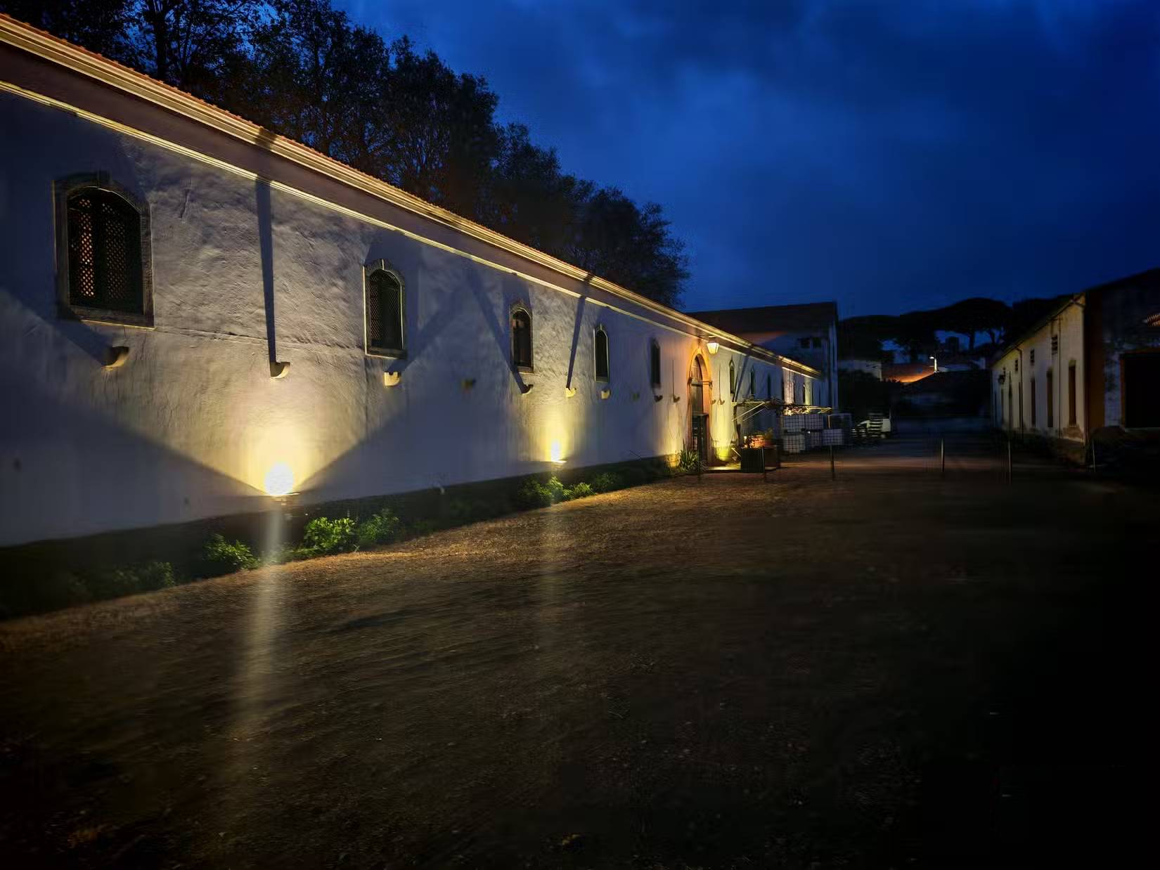 Five of these ten photos were created using AI: Can you tell? Picture 10