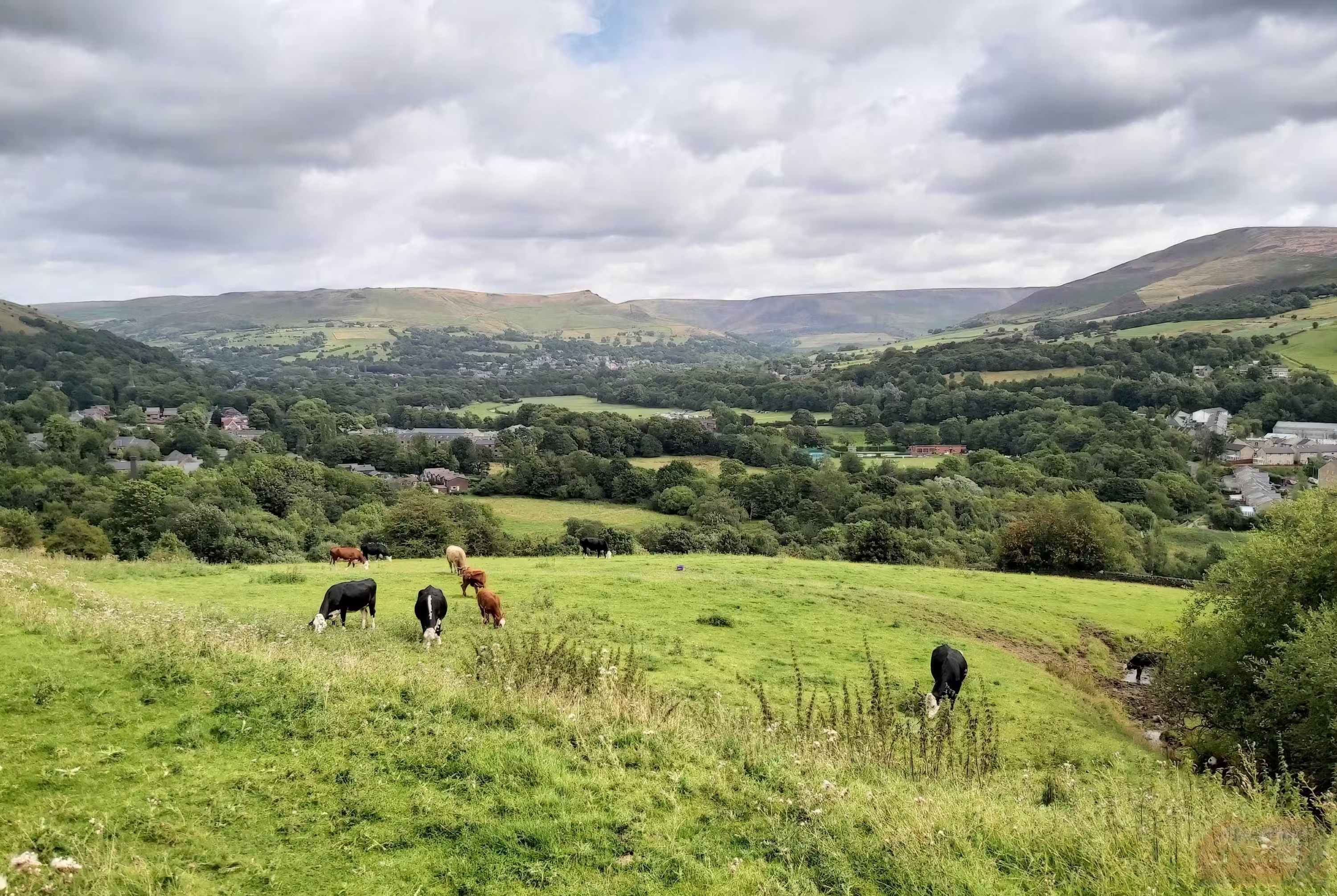 5 smartphone settings to tweak before posting photos on social networks Picture 1