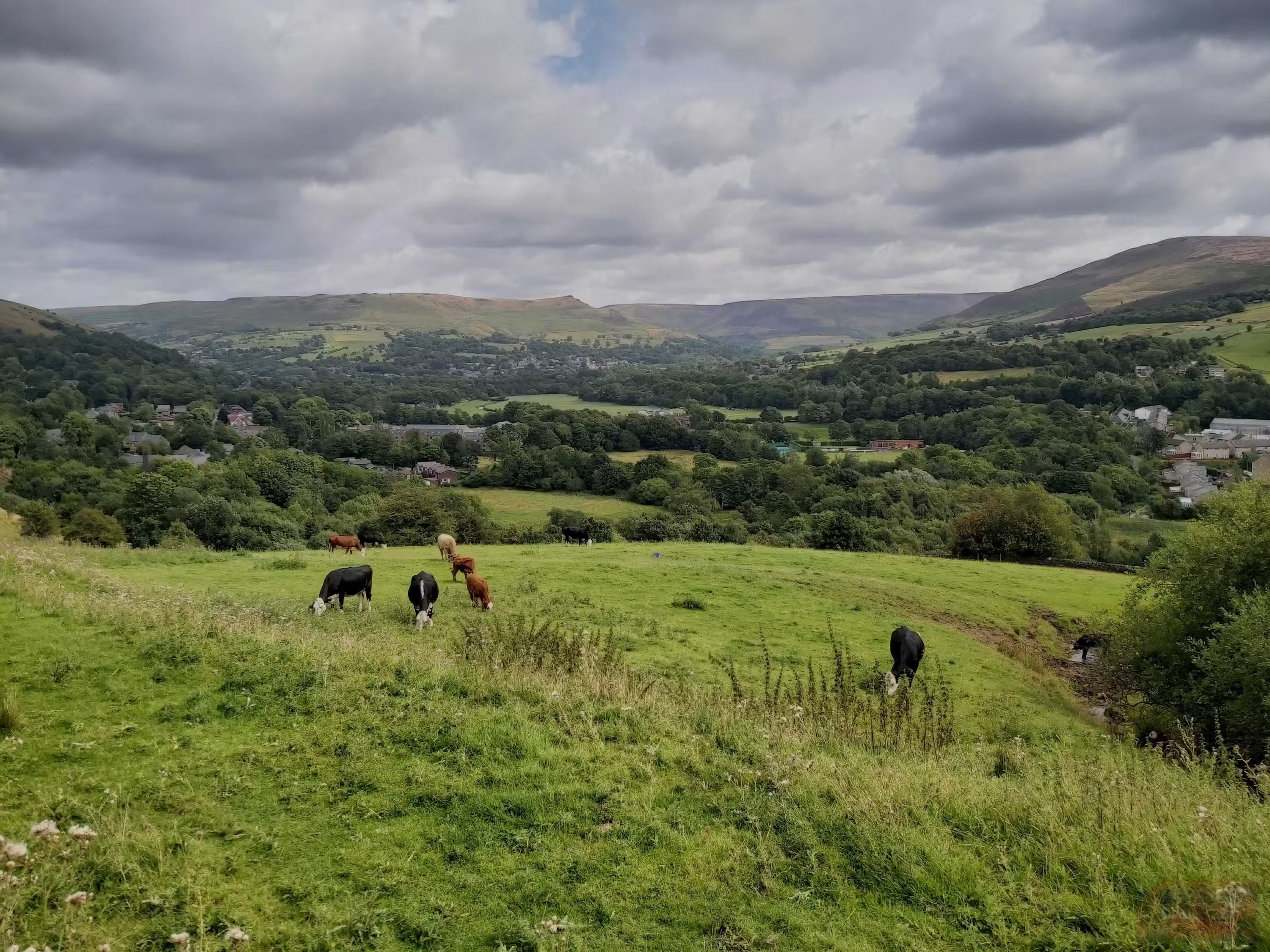 5 smartphone settings to tweak before posting photos on social networks Picture 2