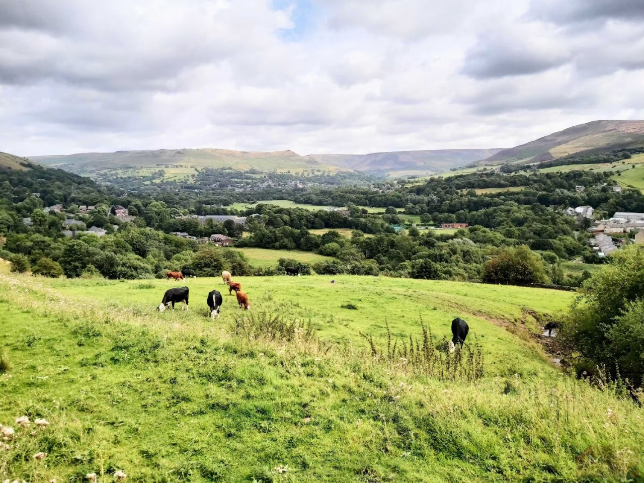 5 smartphone settings to tweak before posting photos on social networks Picture 3