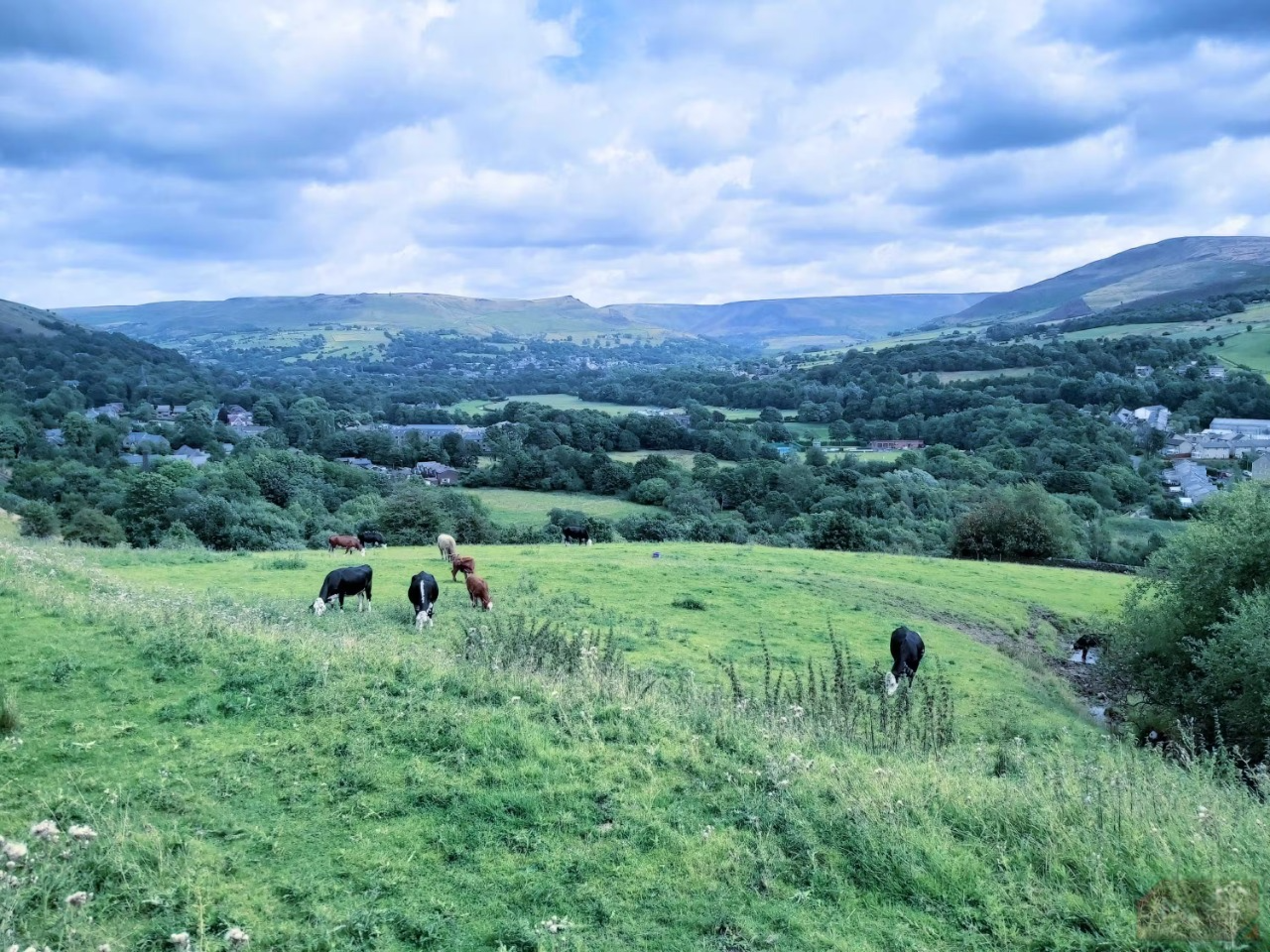 5 smartphone settings to tweak before posting photos on social networks Picture 5