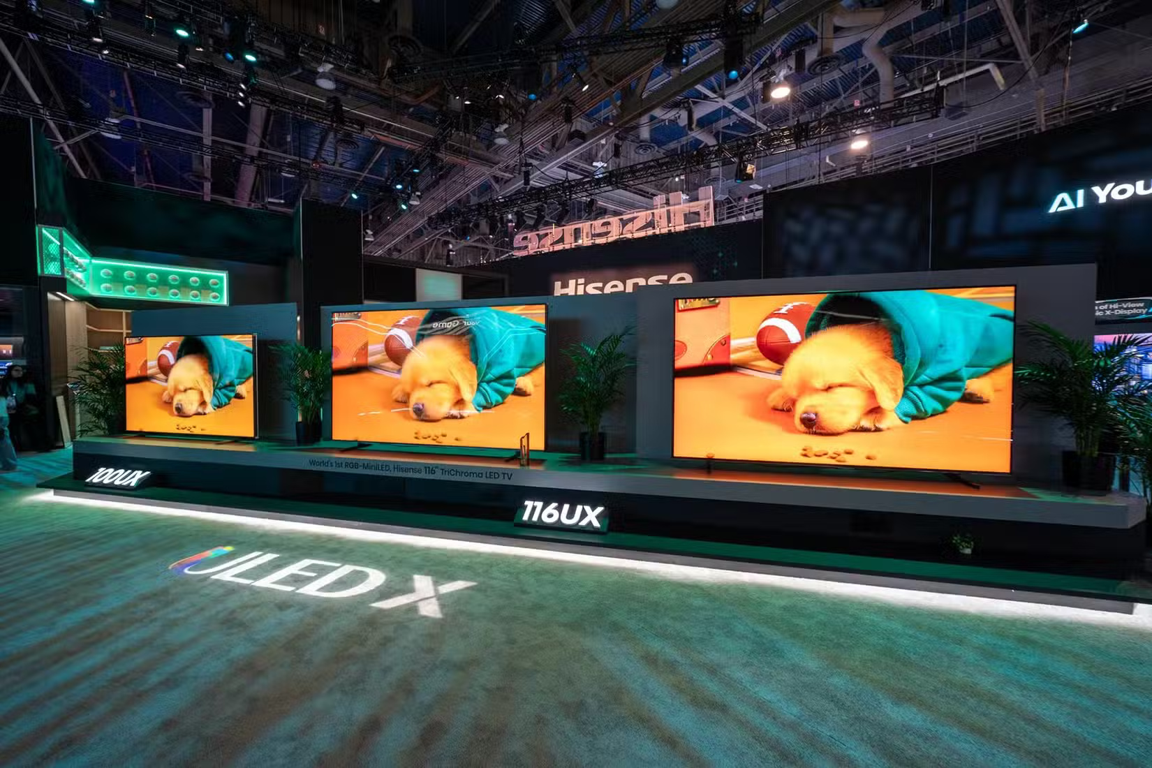 6 Best TV Brands You Can Trust Picture 4