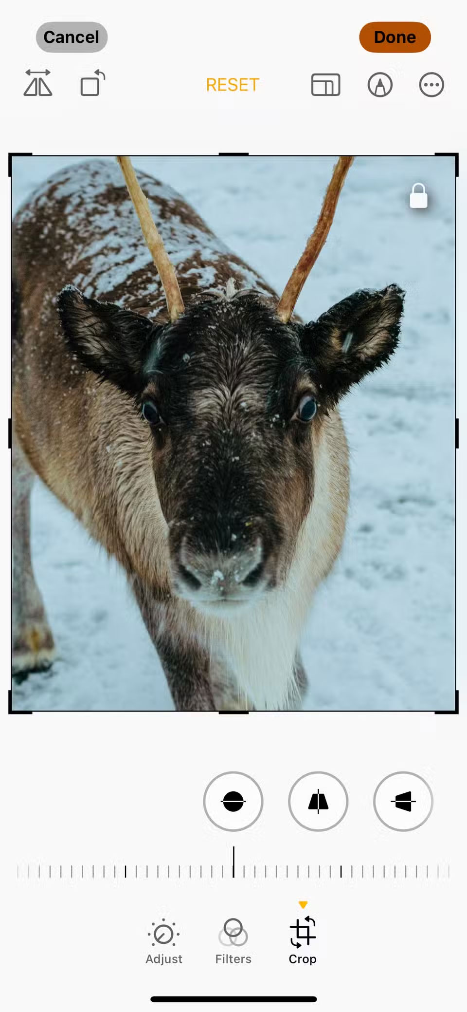 6 Effective Exercises to Build Your Photography Skills Picture 4