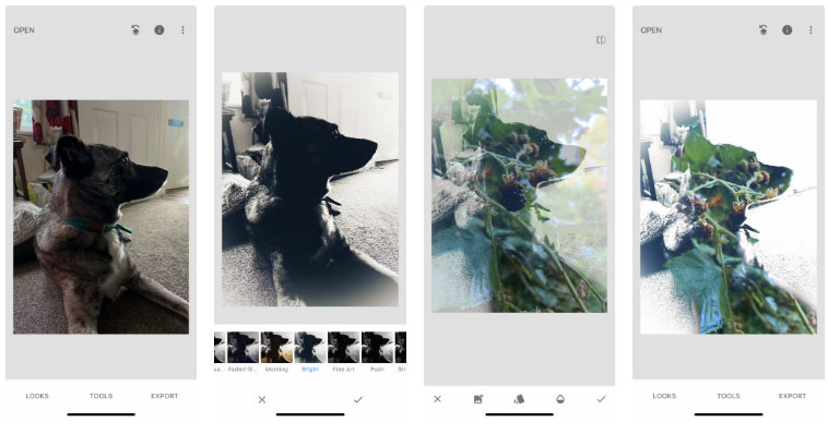 6 mobile apps to help create double exposure effects Picture 1