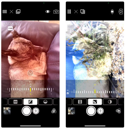 6 mobile apps to help create double exposure effects Picture 4