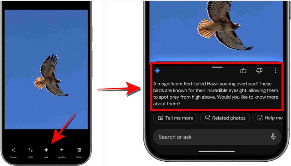 What are the 6 new AI features in Google Photos? Picture 3