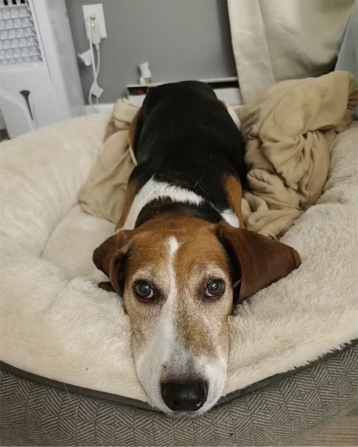 6 Pros and Cons of Meta AI Picture 6