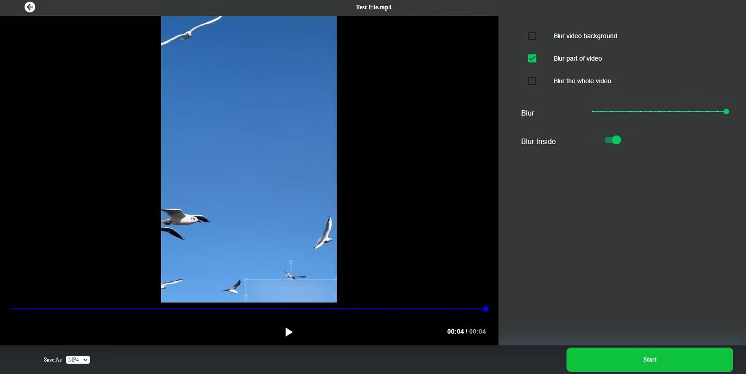 Picture 4 of 6 Best Free Online Video Watermark Removal Tools