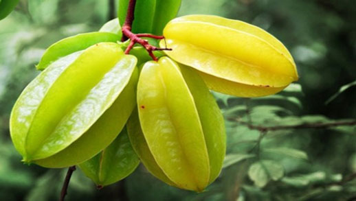 Picture 2 of 60+ Fruit Puzzles to Help Children Develop Thinking Skills