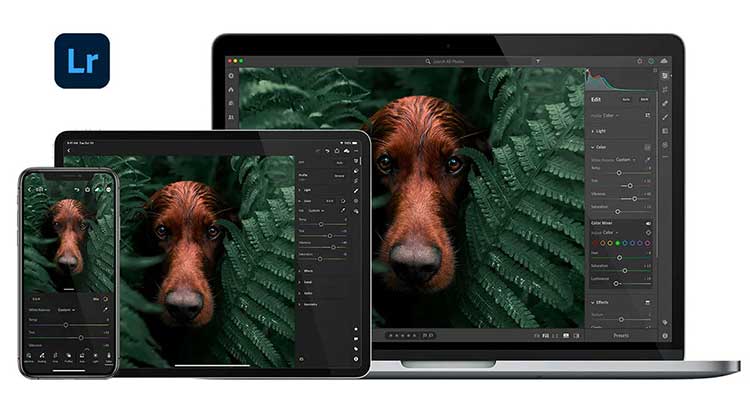 Picture 2 of 7 Best AI Photo Editing Tools of 2026