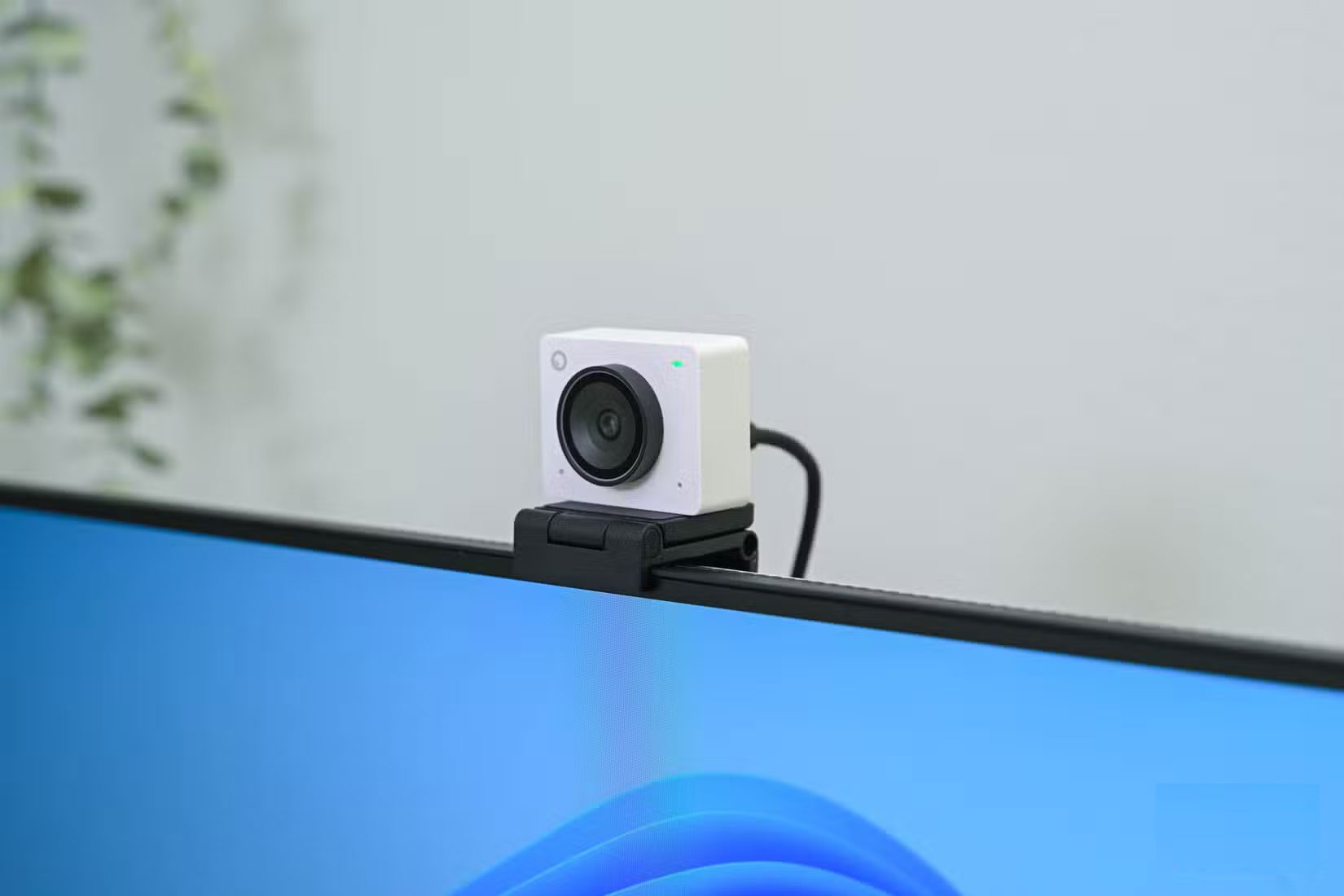 7 devices that work with the monitor's USB port Picture 7