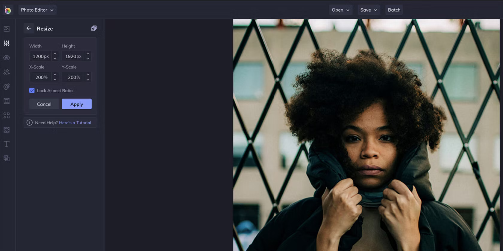 Picture 1 of 7 tools to enlarge images without reducing quality.
