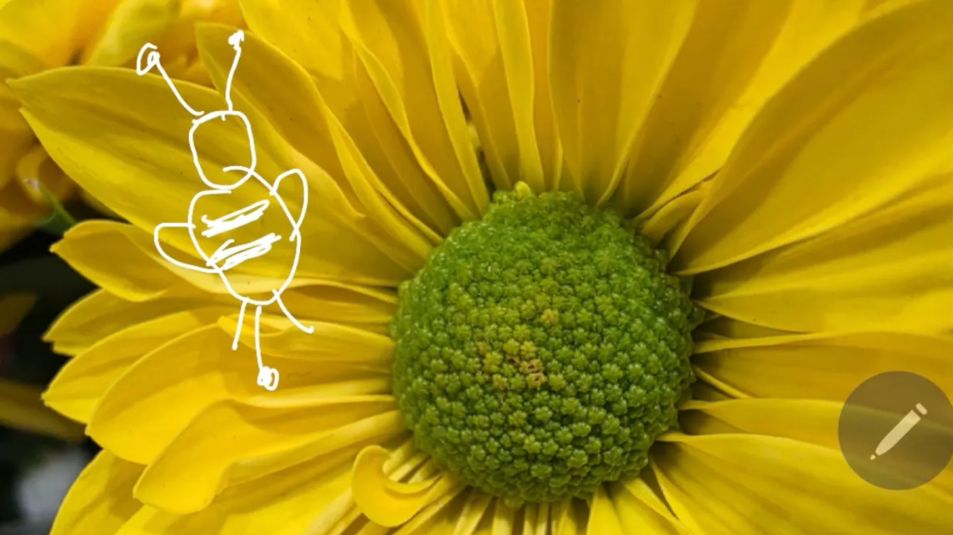 7 things that help Galaxy S25 Ultra beat iPhone 16 Pro Max Picture 6