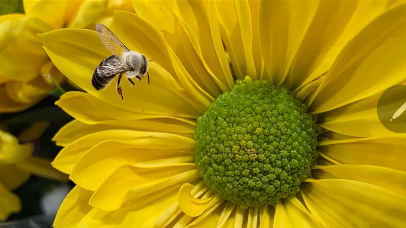 7 things that help Galaxy S25 Ultra beat iPhone 16 Pro Max Picture 7