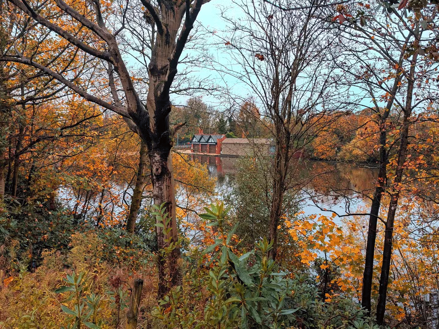 7 tips for taking beautiful photos with smartphones in the fall Picture 3