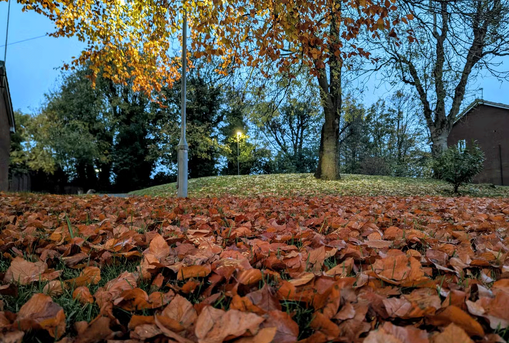 7 tips for taking beautiful photos with smartphones in the fall Picture 8