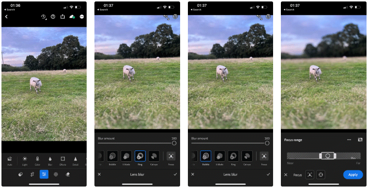 8 Creative Ways to Use Lightroom to Transform Photos on Desktop, Mobile, and Web Picture 5