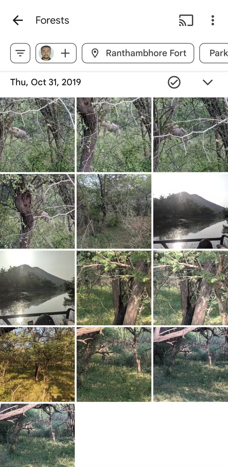 8 Google Photos Features You're Missing Picture 6