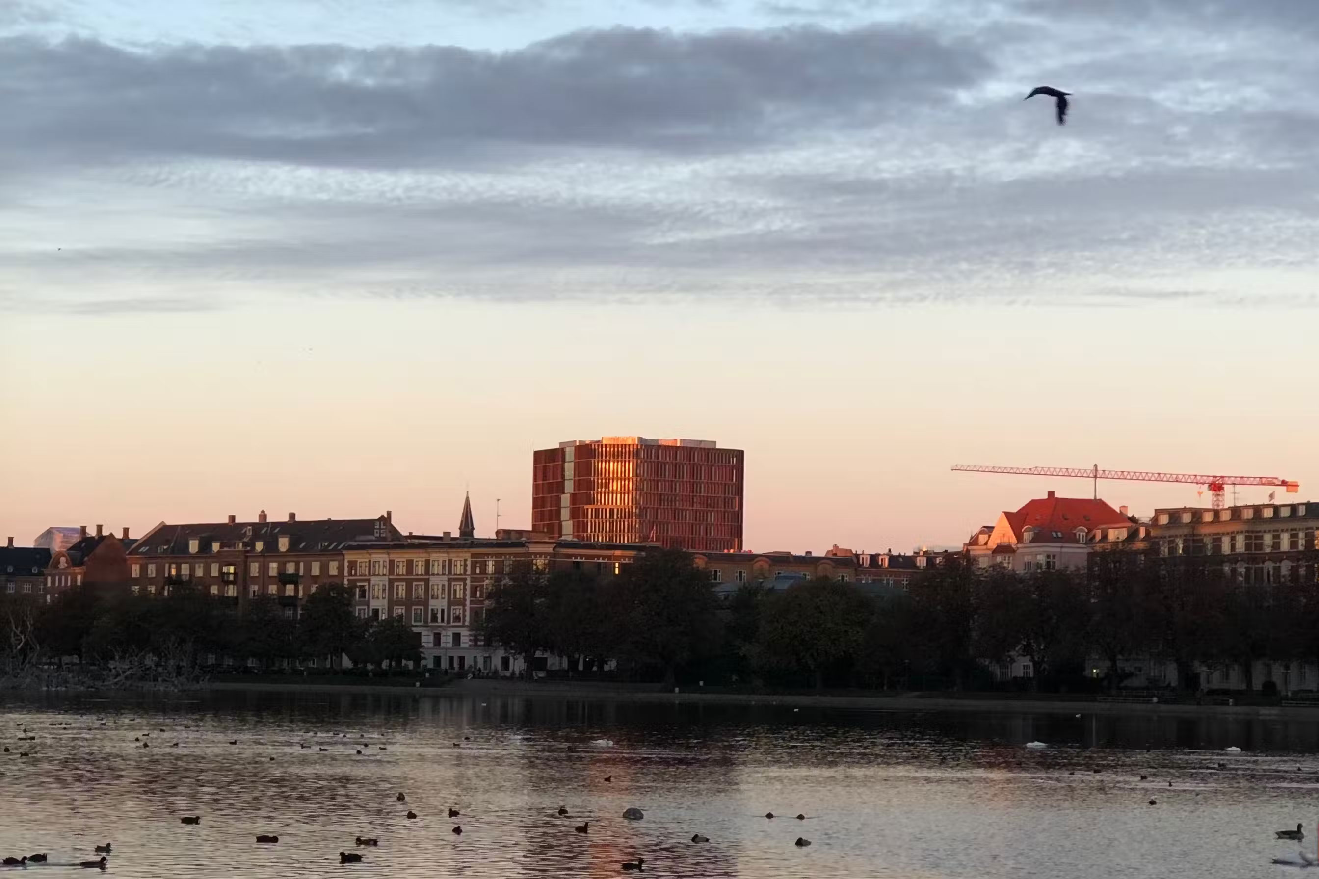 8 rules to break when taking photos on your phone Picture 2