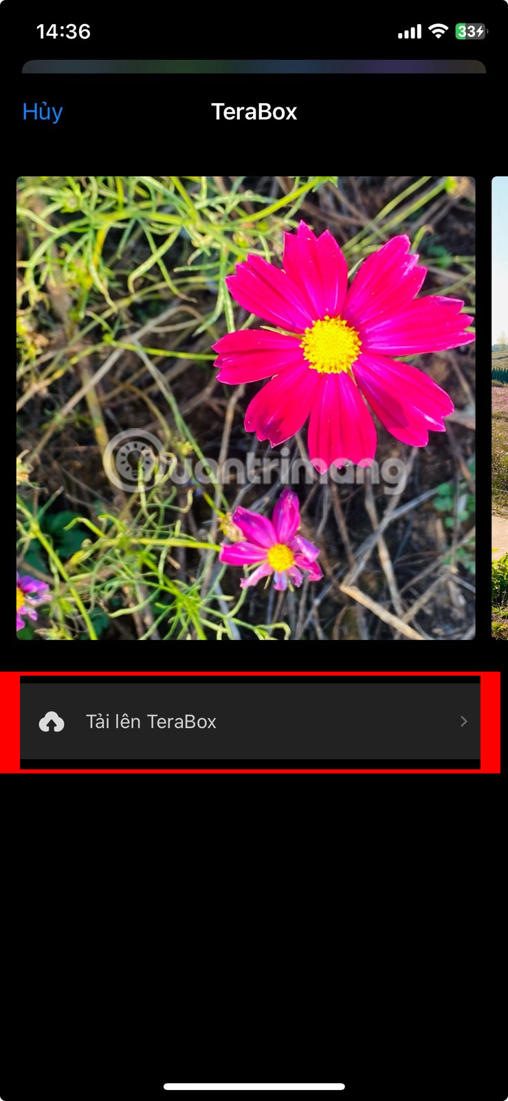 Picture 12 of 8 ways to quickly transfer photos from iPhone to iPhone